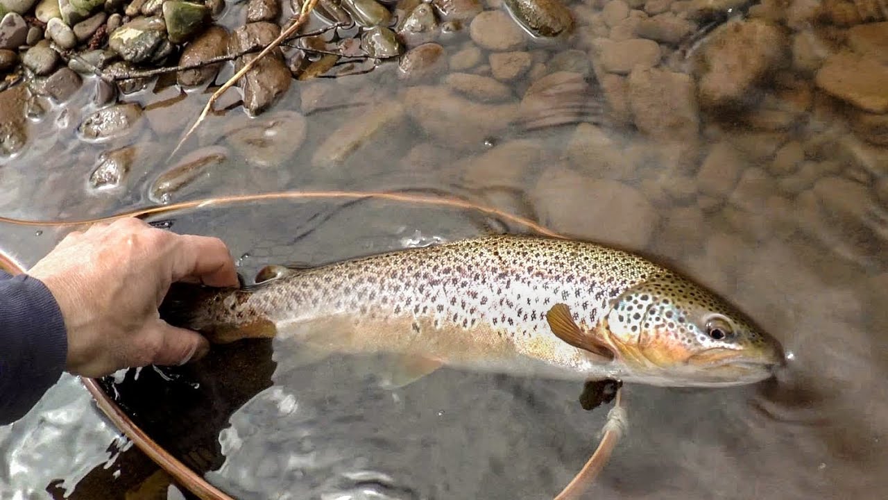 A Cane Rod on the Wye and Usk.