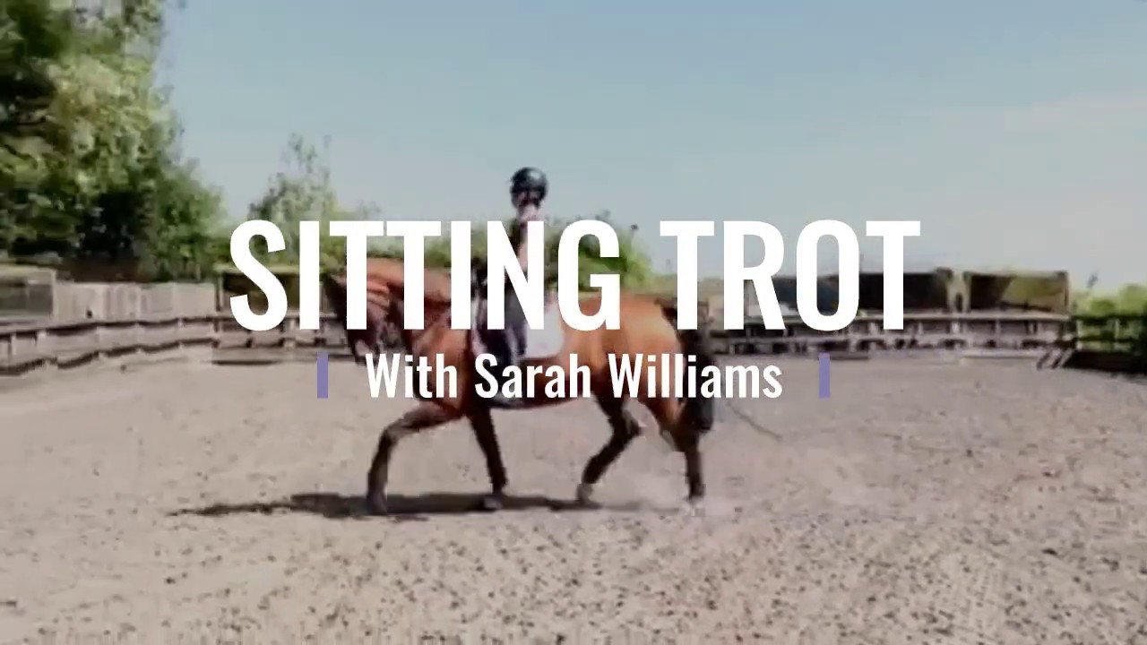 Sitting Trot Tutorial With Sarah Williams