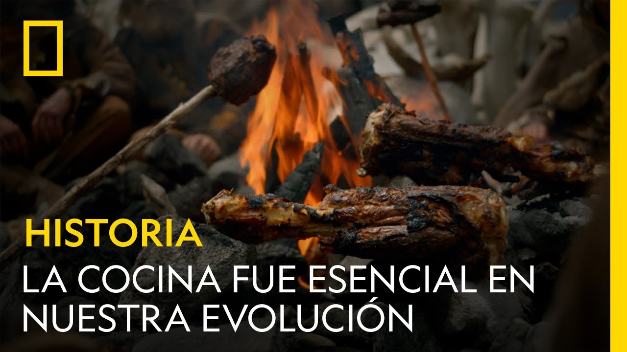 Por qu&eacute; la cocina fue esencial en nuestra evoluci&oacute;n | NATIONAL GEOGRAPHIC ESPA&Ntilde;A