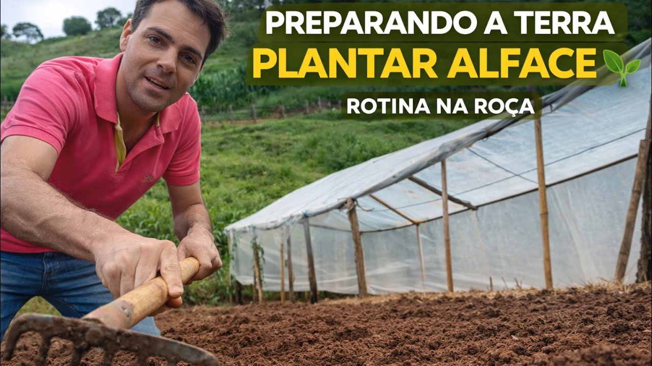 INICIANDO O PREPARO DA TERRA DESSA ESTUFA /PLANTAR ALFACE