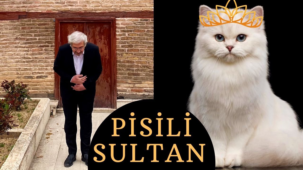 Dünyanın İlk Kedili Türbesi