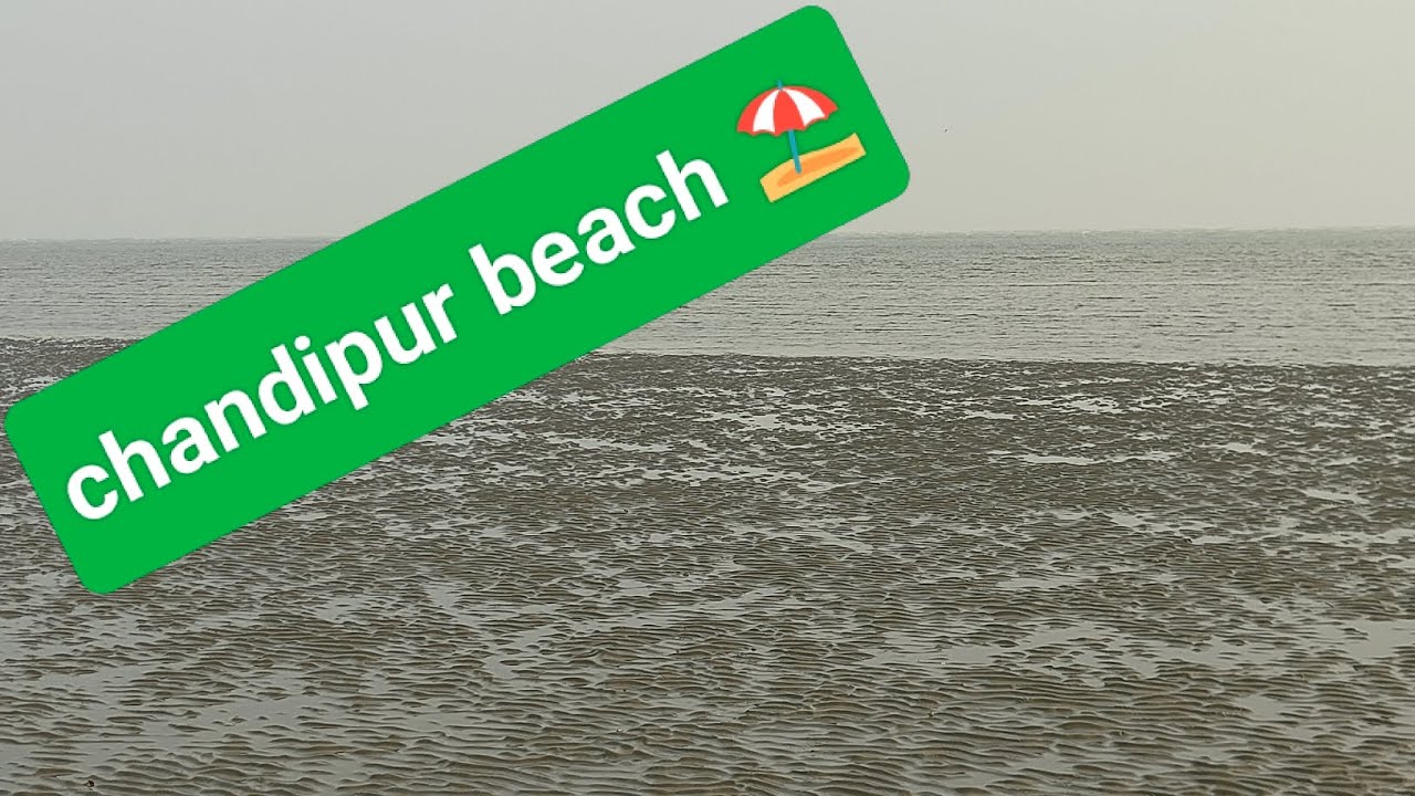A trip to chandipur beach ⛱️ odisha,#vlog #beach #beachvibes #odisha #viral 