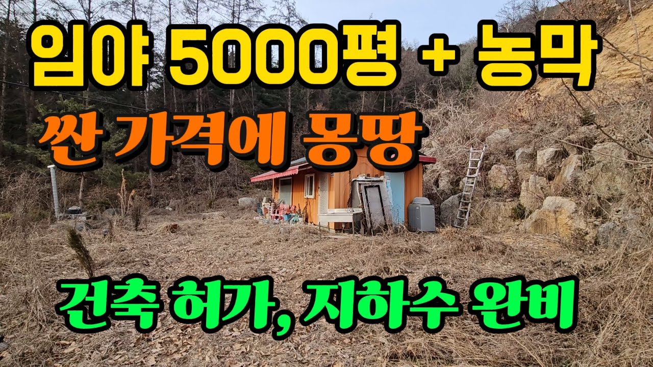 산지 5000여평과 농막,양평 토지 땅 임야 부동산 매매 매물 급매 급매물
