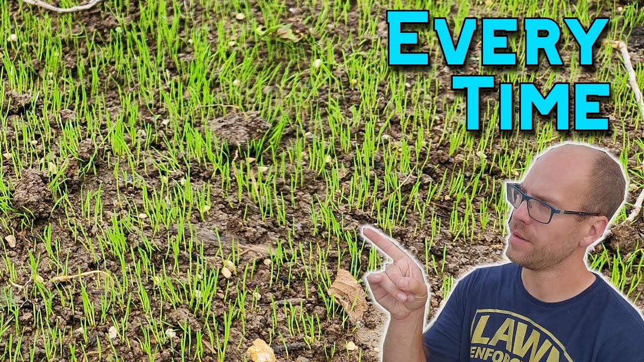 How To Grow Grass From Seed | Complete Guide