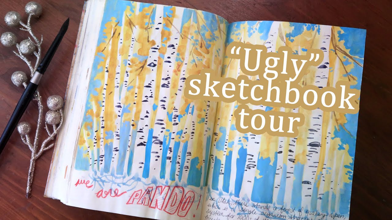 A Realistic Sketchbook Tour of Randomness