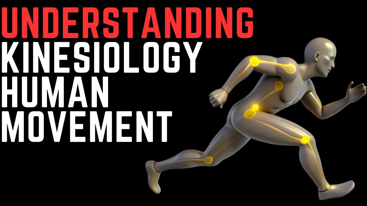 Kinesiology: Your Body Is a Machine
