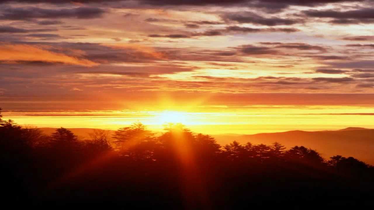 Luianne - Lunatae