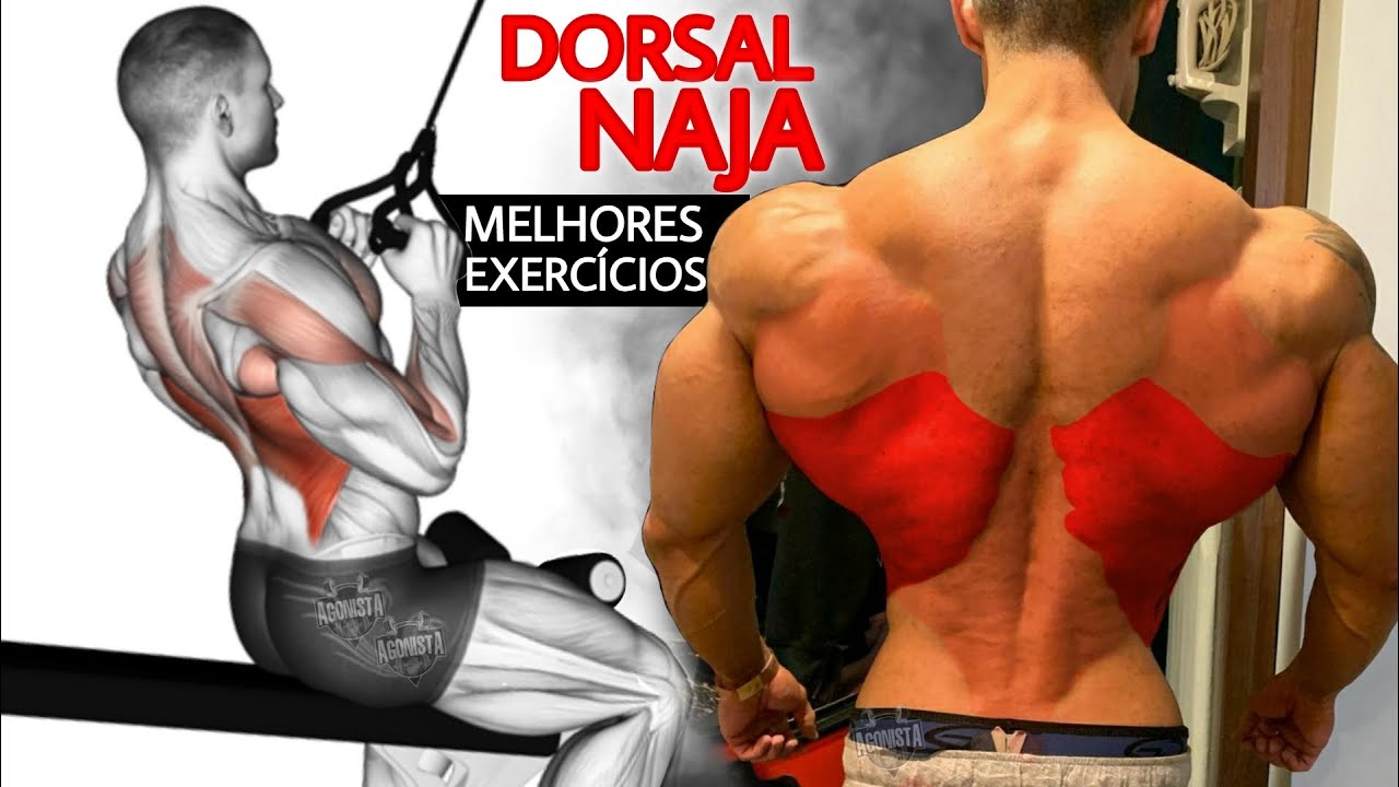 9 Exercícios Para Construir Dorsal Naja - Melhores Variações de Puxadas