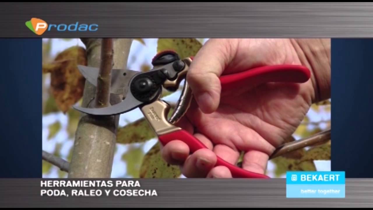 Conozca las mallas y alambres agrícolas, y más soluciones agropecuarias de Prodac