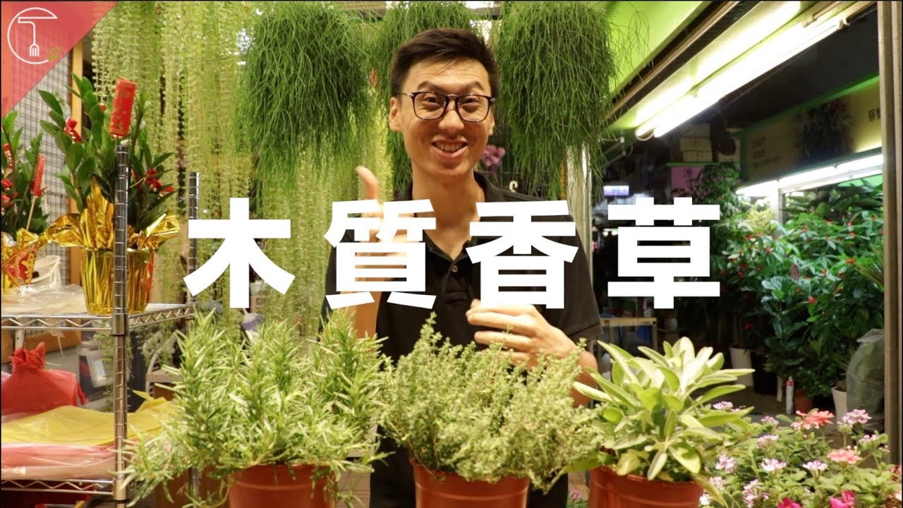 【香草101】肉類料理的最佳夥伴 木質香草｜克里斯丁聊料理
