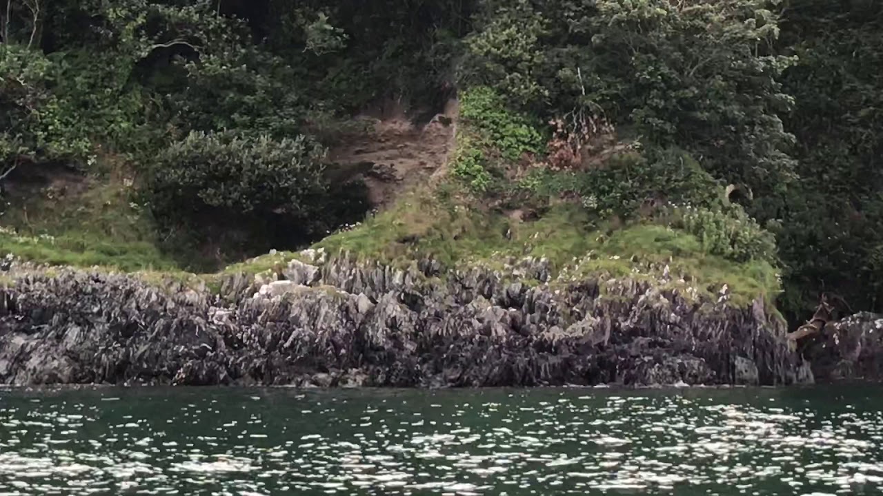 PIER CELLARS - CAWSAND BAY