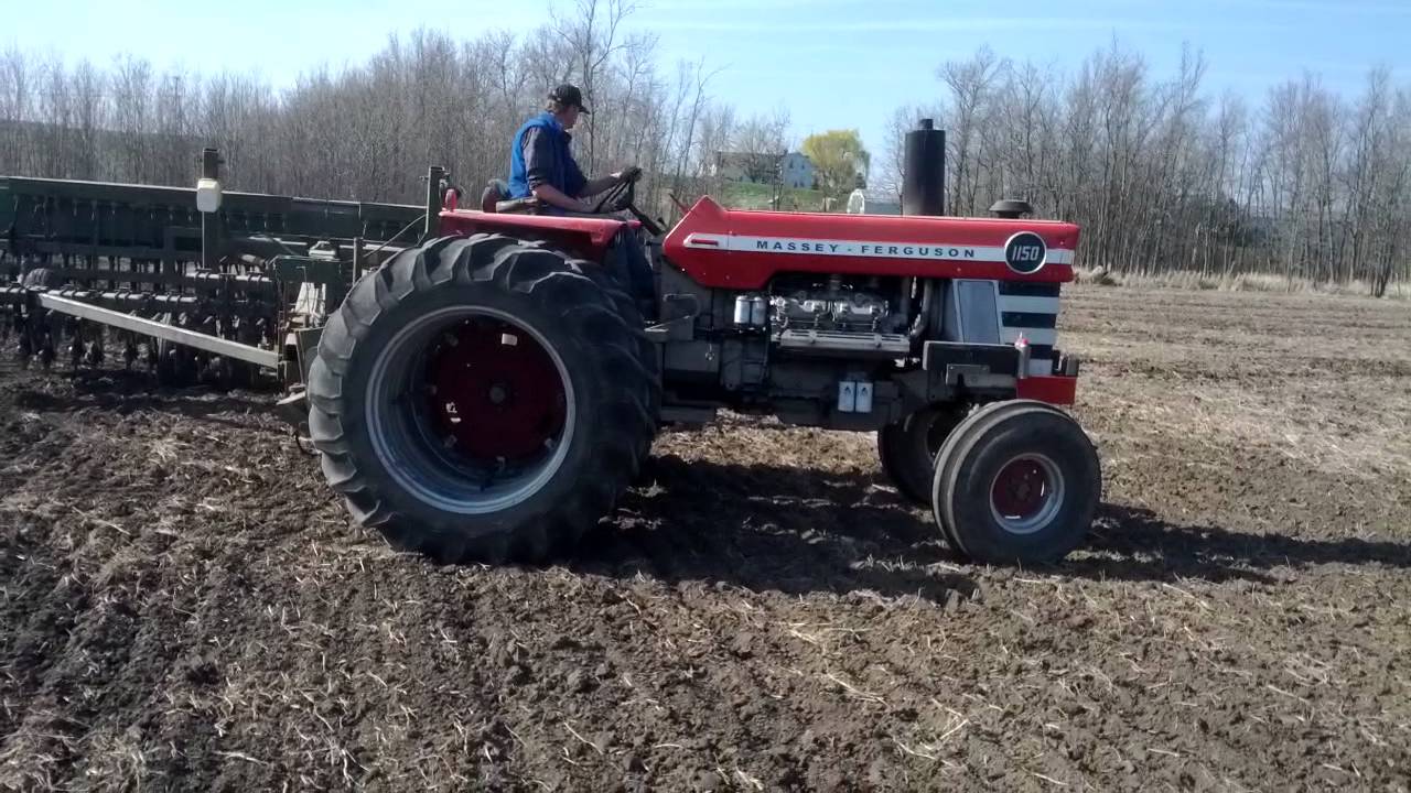 Massey Ferguson 1150 V8 drilling spring grain