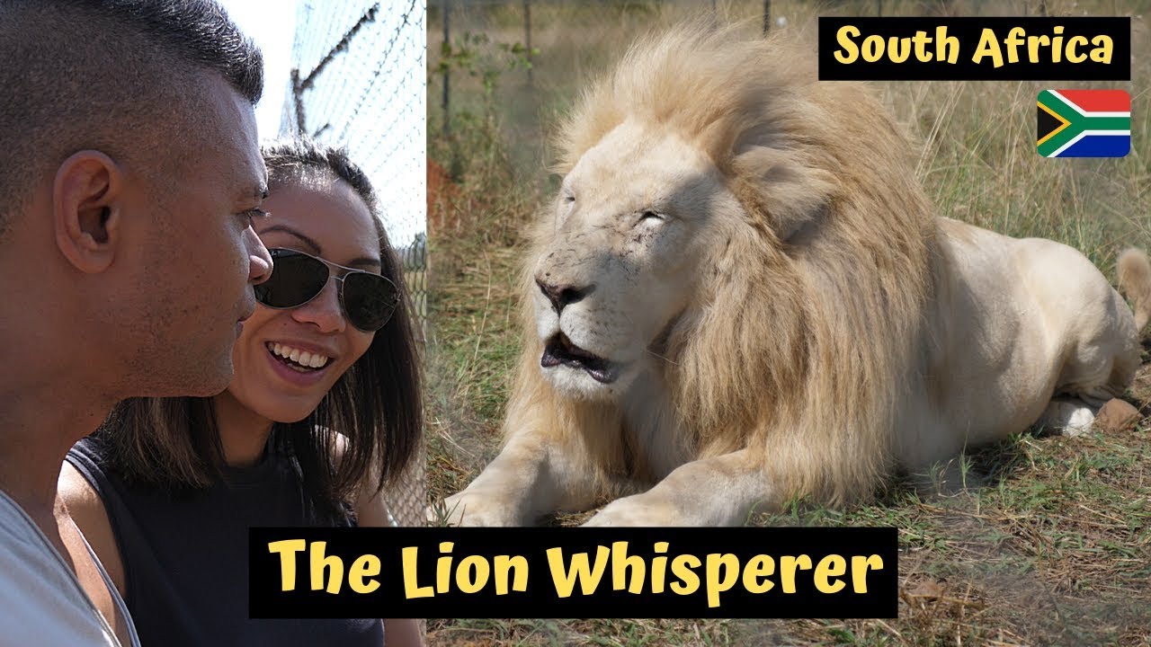 Visiting The Kevin Richardson Wildlife Sanctuary AKA The Lion Whisperer