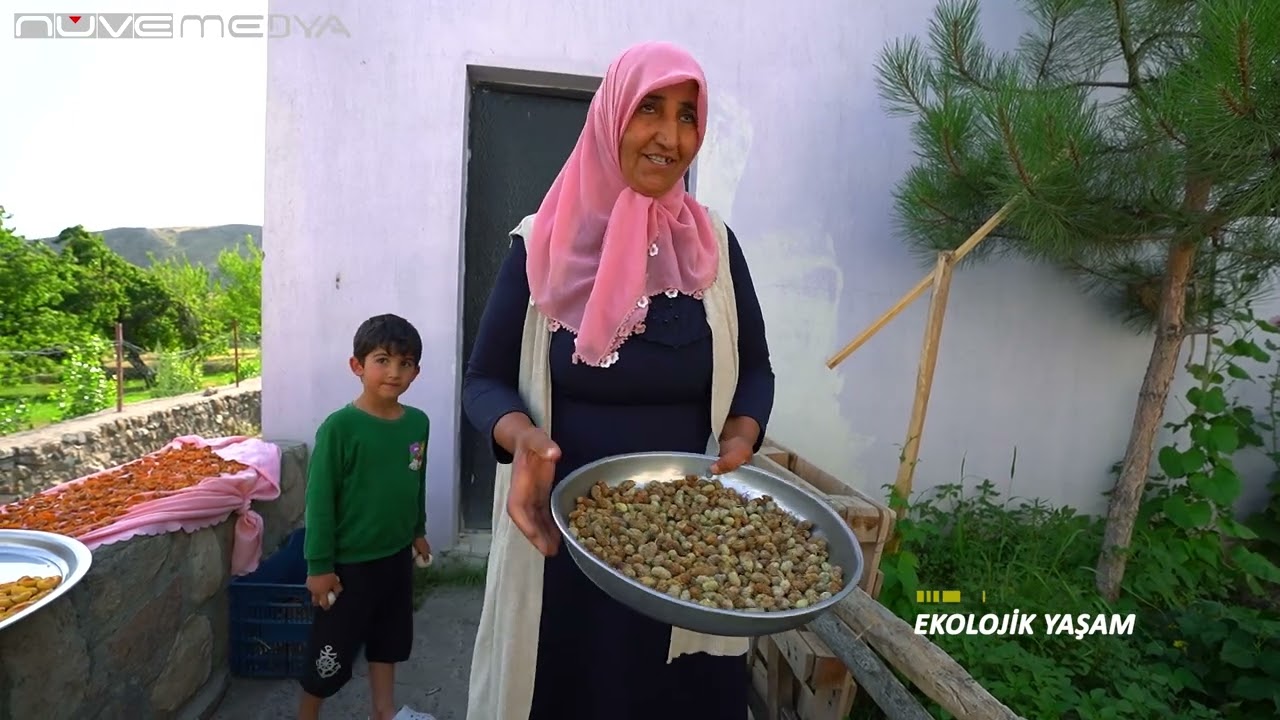 EKOLOJİK YAŞAM-KAĞIZMAN GUNİNDİ KÖYÜ