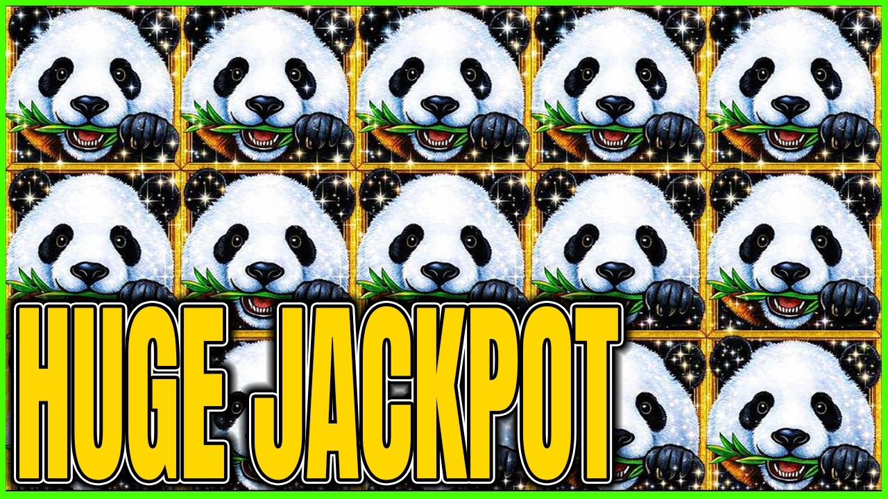 OMG This HUGE JACKPOT She Hit Left Everyone Speechless! Panda Magic Dragon Link Slot