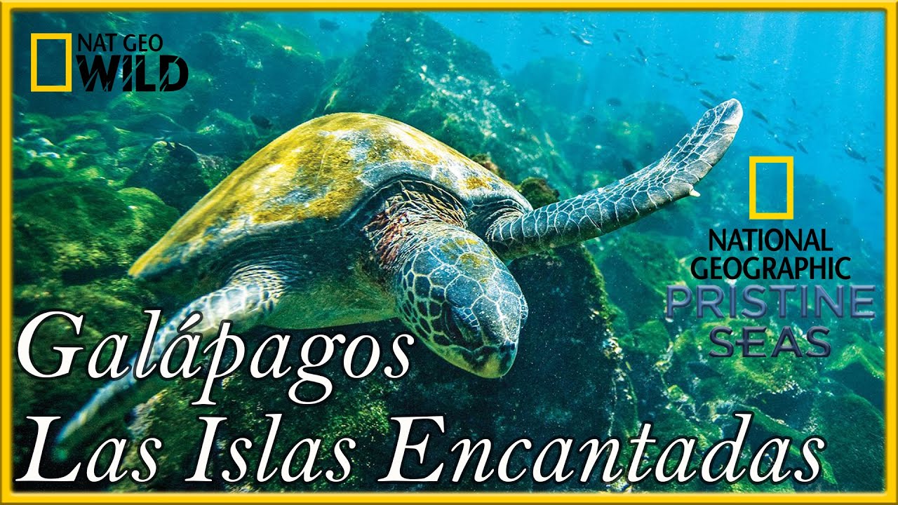 Gal&aacute;pagos Las Islas Encantadas [Ecuador][Parte 2]Documental NAT GEO  HD