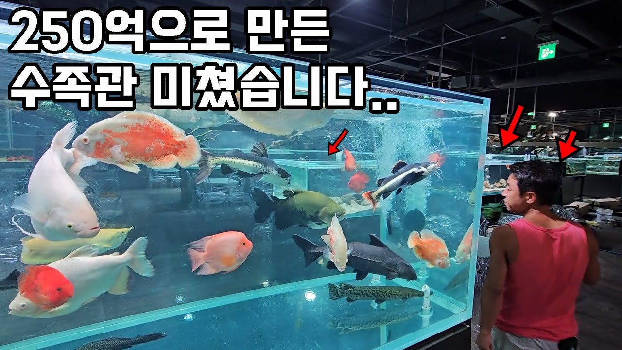 250억원으로 수족관카페를 만드면 생기는일..ㄷㄷ