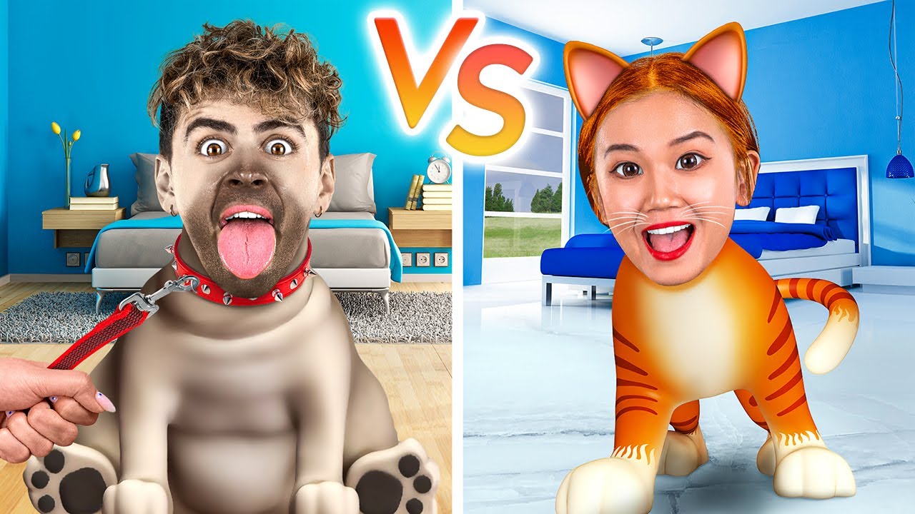 WENN MENSCHEN SICH WIE HAUSTIERE VERHALTEN WÜRDEN! Hunde VS Katzen