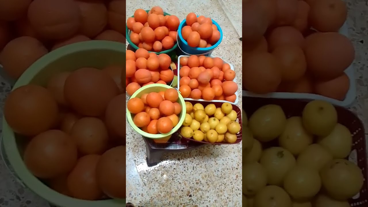 تحضيرات على قدم وساق لرمضان 2026 مركز البرتقال وليمون🍊🍋