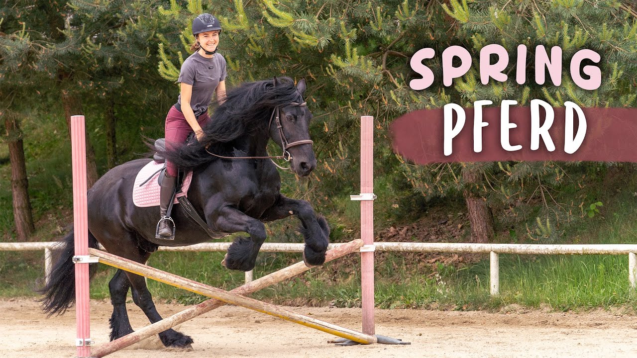 Pilgrim wird zum SPRINGPFERD ⚡️
