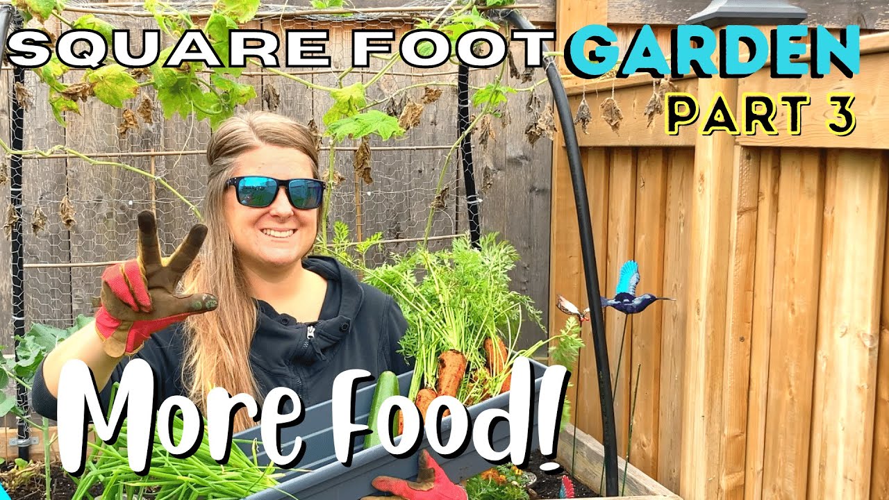 Maximize Food Yield In Small Areas | Raised Square Foot Gardening Tutorial | Beginners