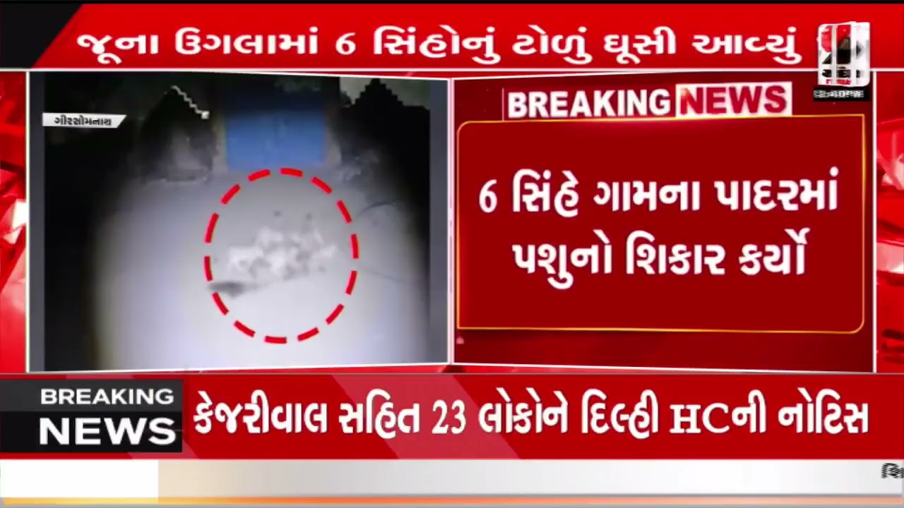 Girgadhada | ગીર ગઢડાના જુના ઉગલામાં 6 સિંહ દેખાયા | Lions | Wildlife | Gujarat | Sandesh News