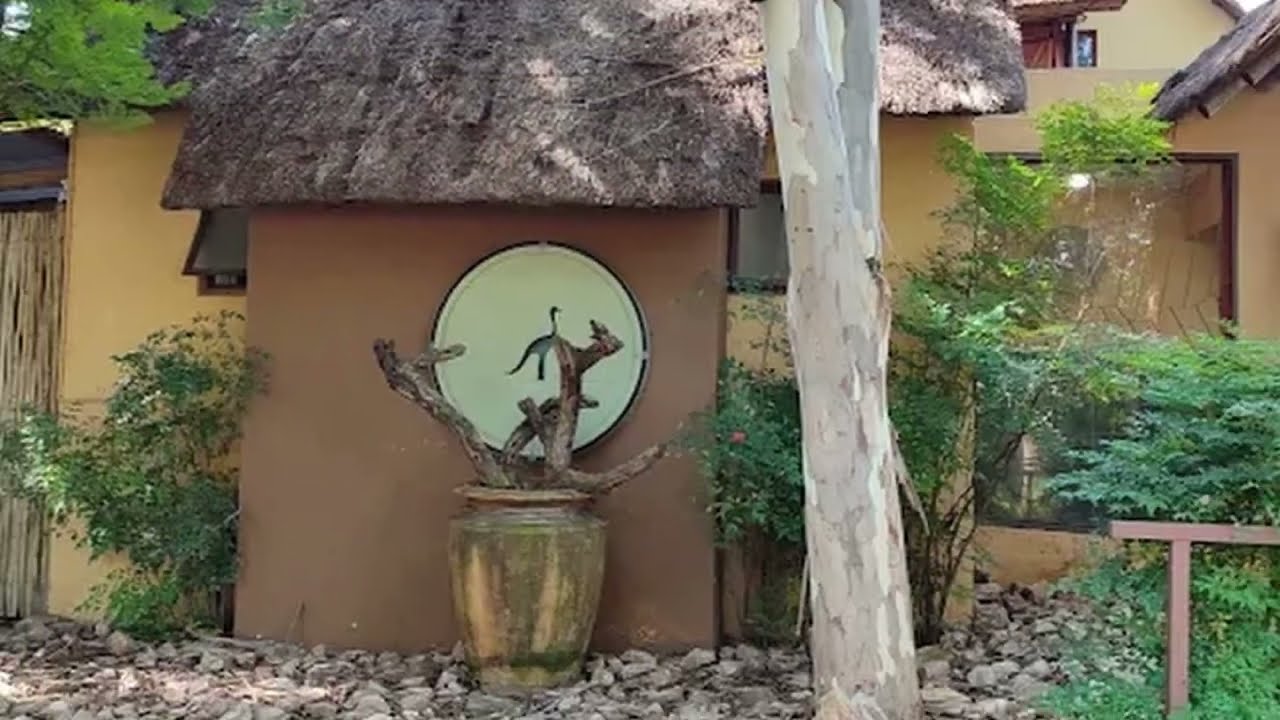 Tranquility on your doorstep! Blue Crane Resturant Brooklyn Pretoria