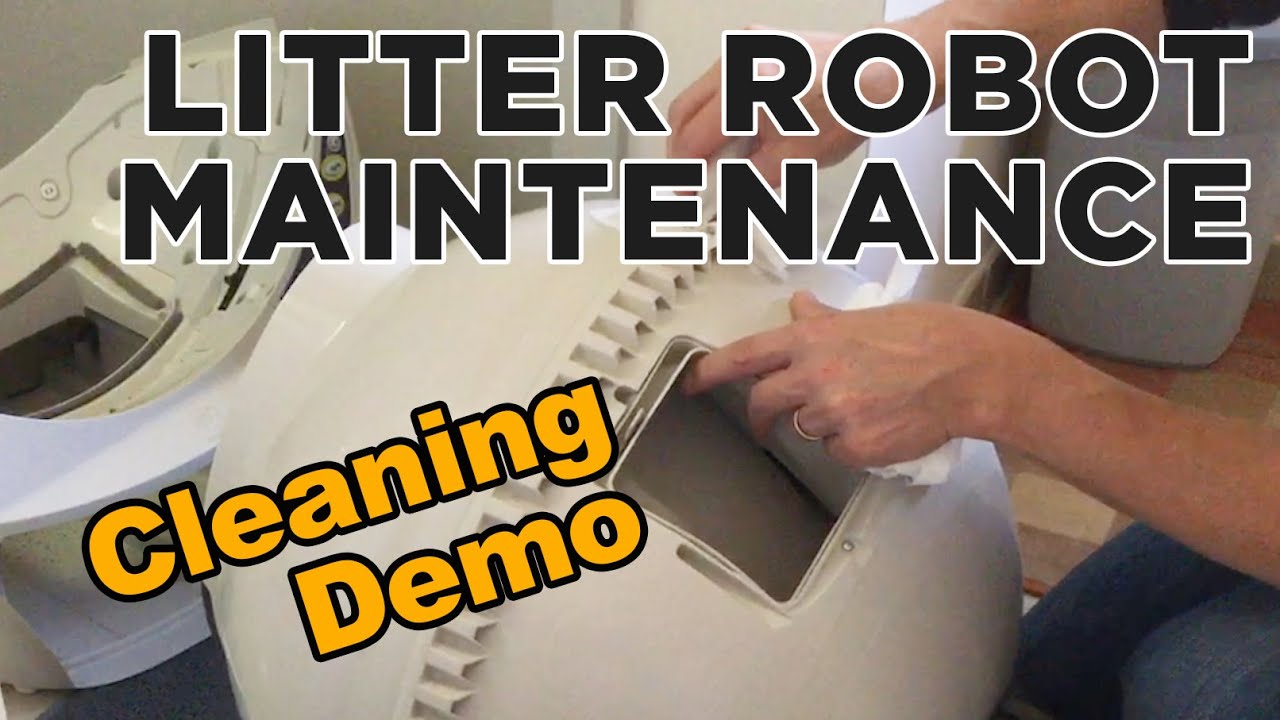 How to clean the litter robot to keep it functioning for years (and save $$$)