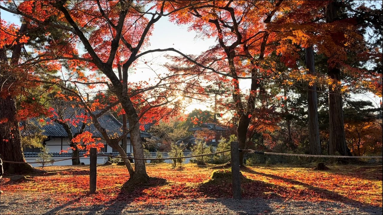 Petit voyage automnal de 3 jours &agrave; Kyoto et Nara