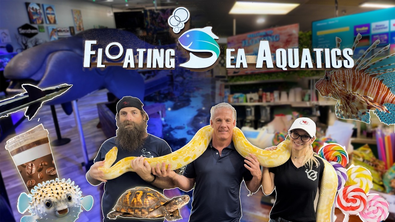 Floating Sea & Cafe