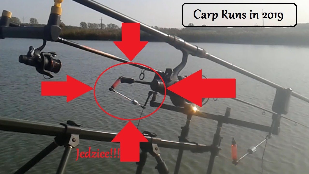Carp Run Compilation 2019 - Odjazdy Karpiowe - WędkoManiacy