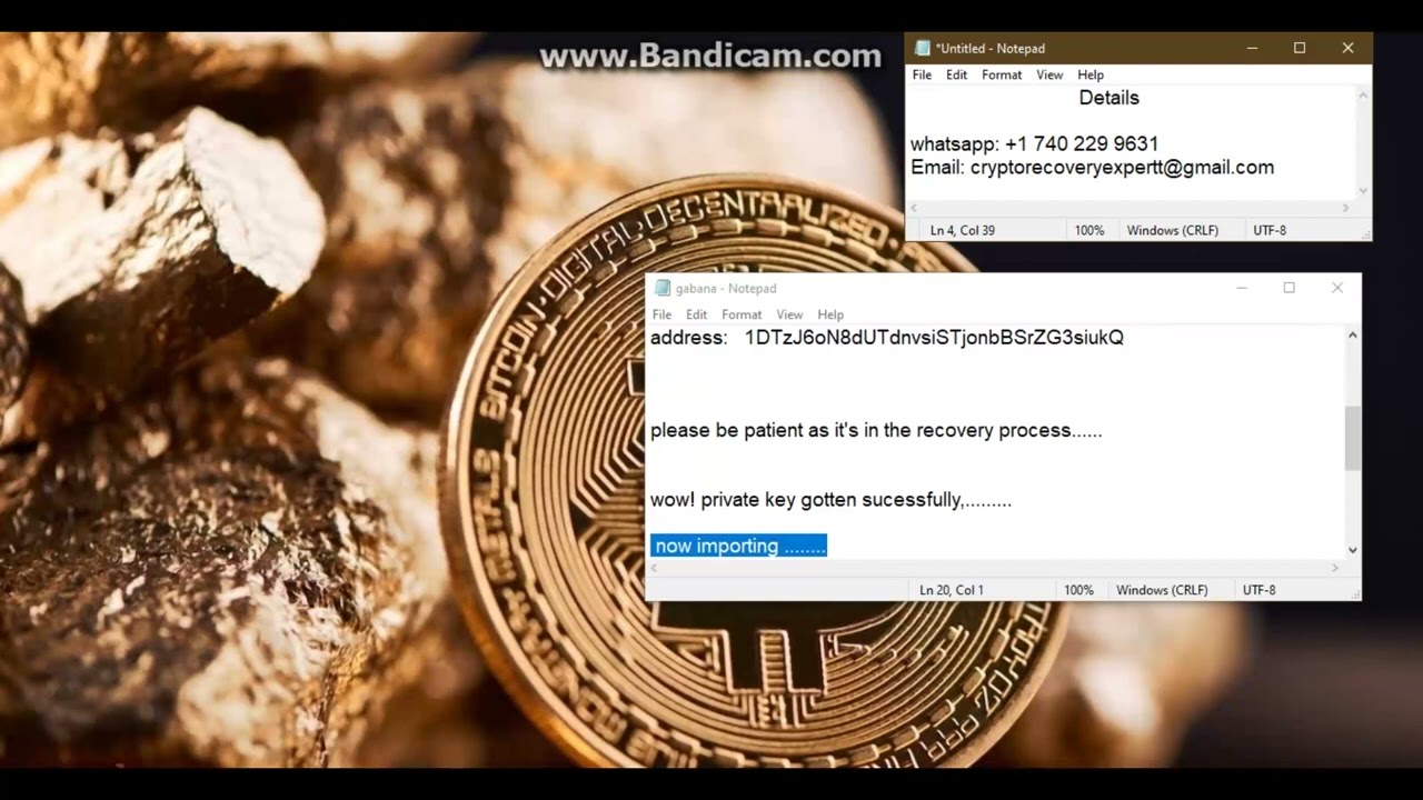 RECOVER LOST BTC WALLET USING BLOCKCHAIN DATA | HOW TO RECOVER LOST BITCOIN