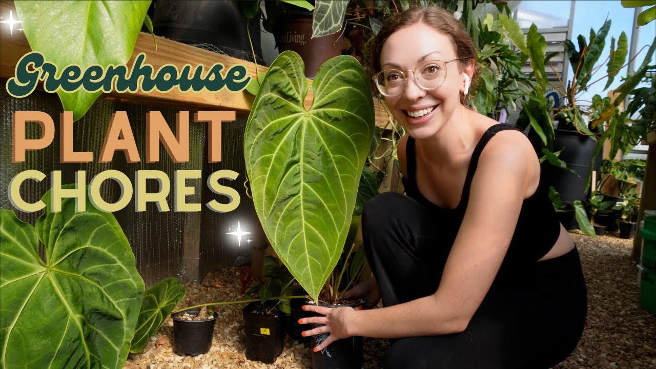 Greenhouse Plant Chores