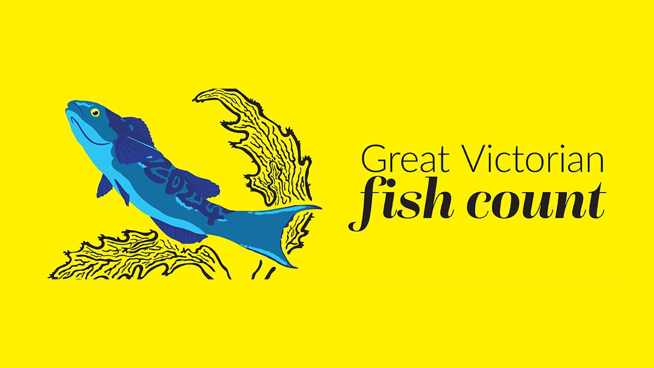 Great Victorian Fish Count 2024