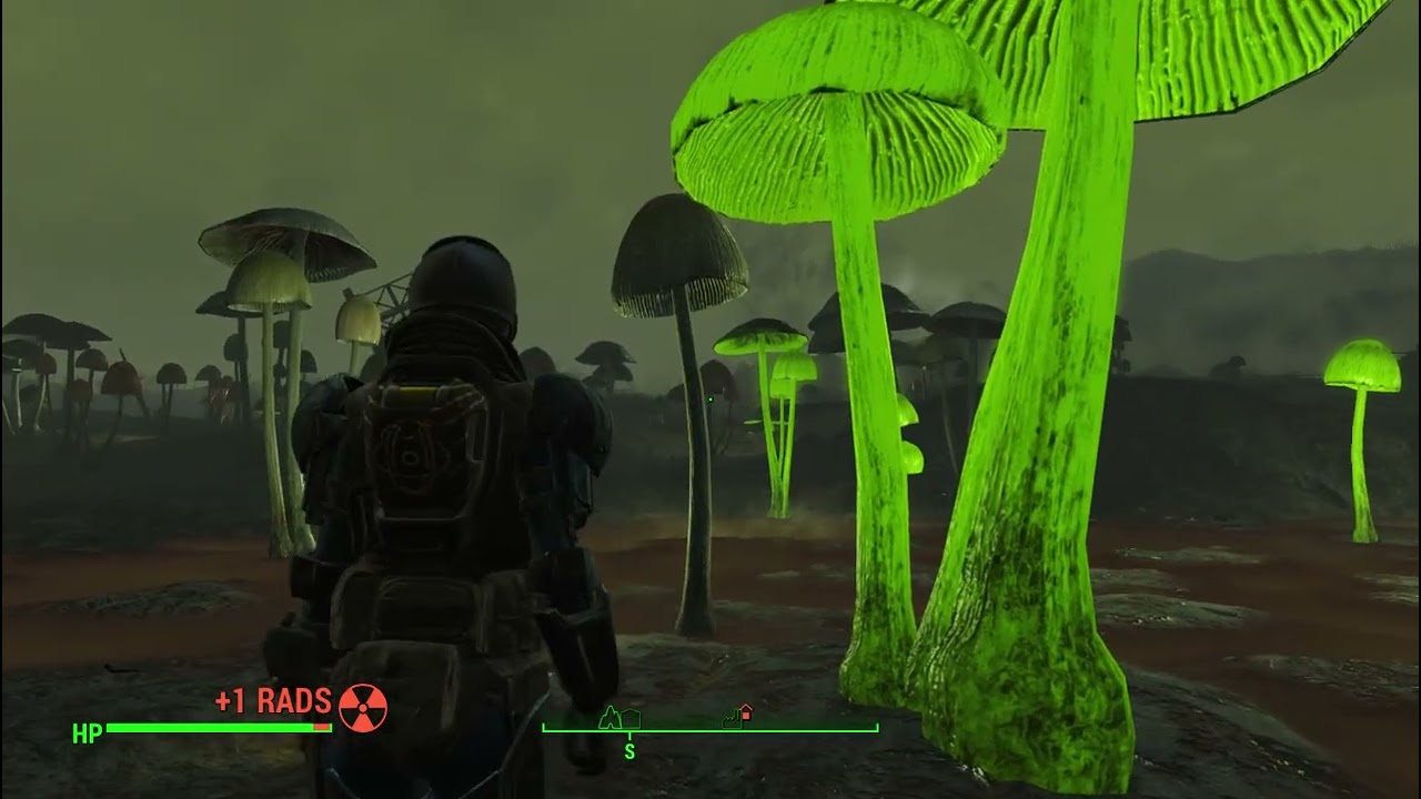 Fallout 4: The Fungal Forest
