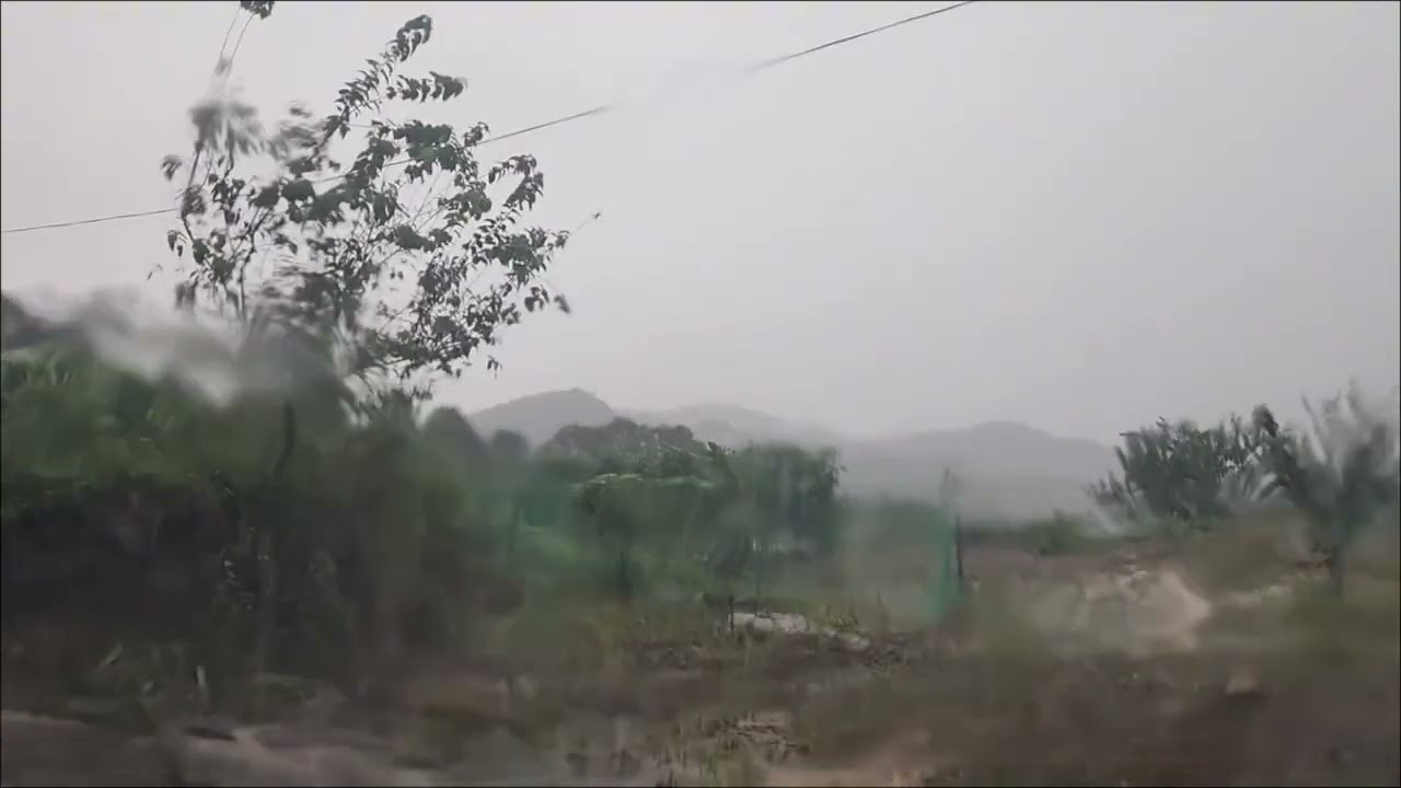Recorded Inside a Real Car Pure Rain Sounds