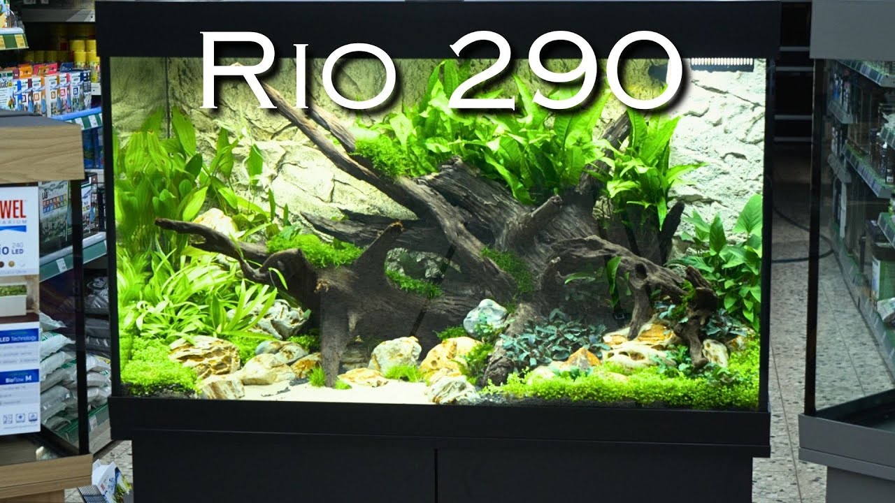 Neuheit 2025! Das neue Juwel Rio 290 | Aquado-Zoo Dortmund