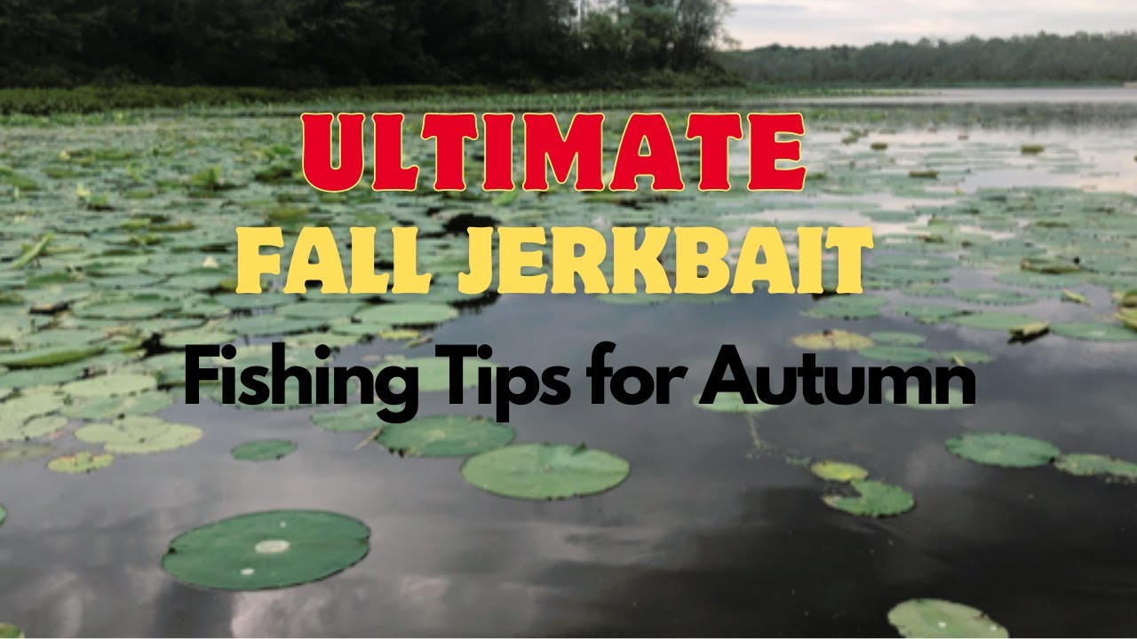ULTIMATE Fall Jerkbait Fishing Tips For Autumn Success!!