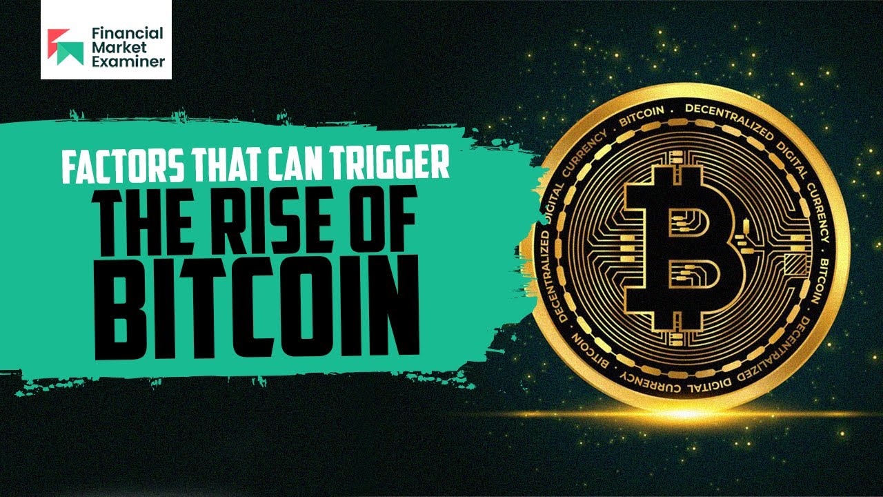 Revealed! Factors That Can Trigger The Rise of Bitcoin (BTC) #bullrun
