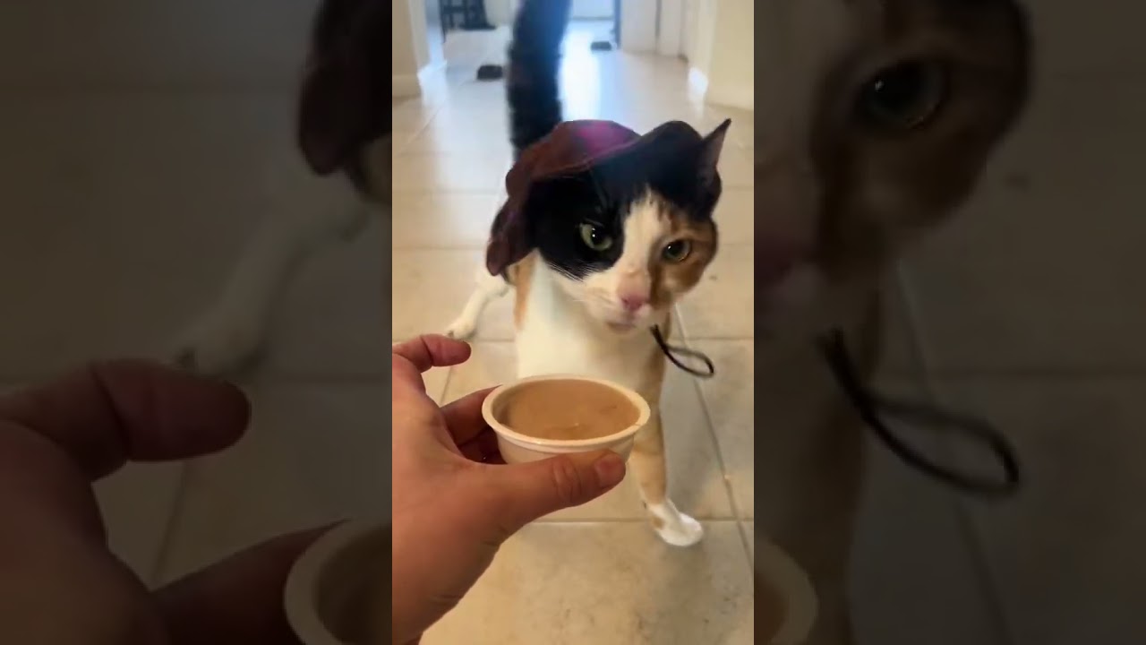 Listen to those wobbly sniffs!  