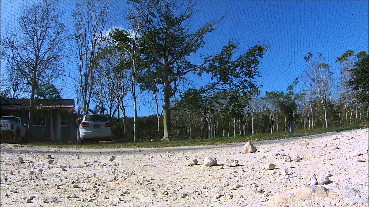 Net Blaster