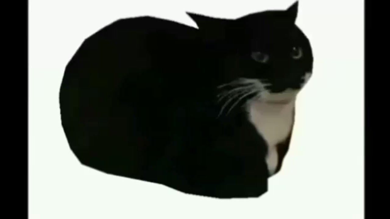 spinning cat low quality funky town earrape full version