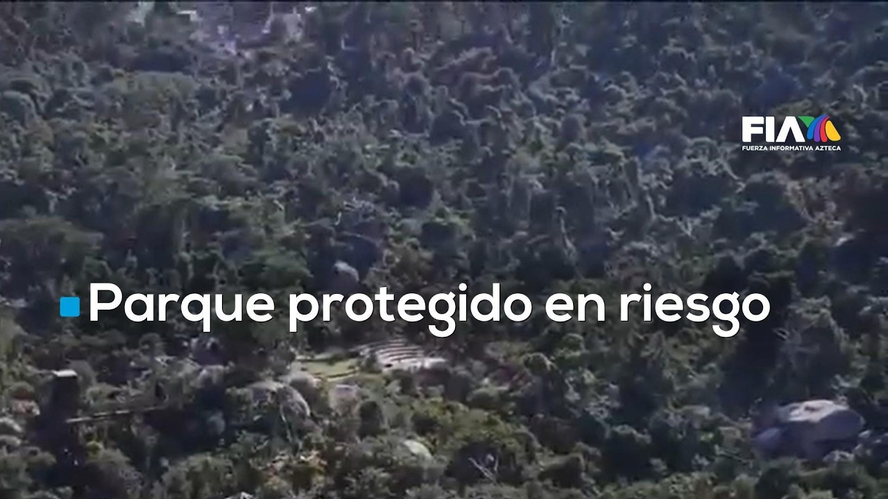 Amenaza a área protegida en Acapulco: Parque Bicentenario