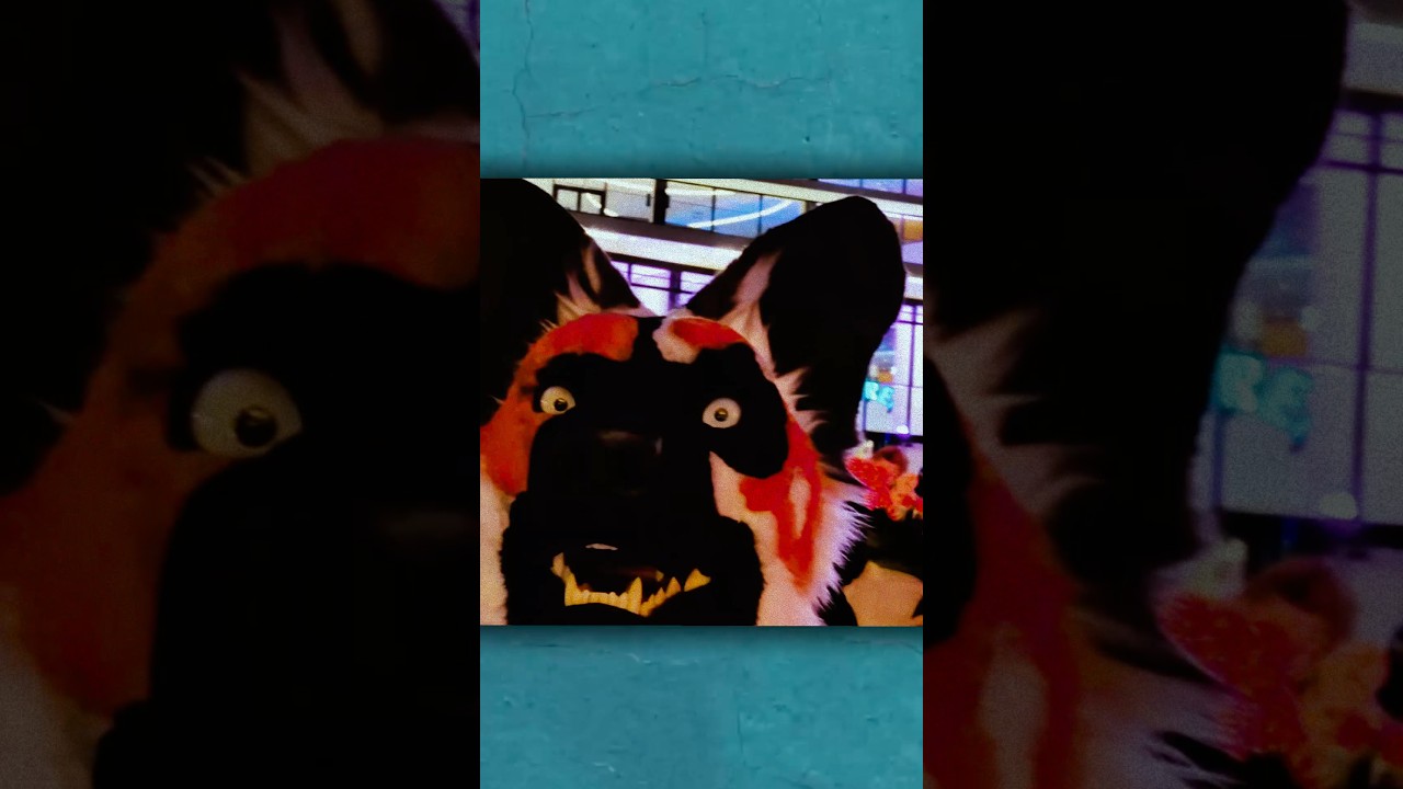 Can you handle 7 days of party and raves? If you attend a #furry con you might have to! #techno #edm