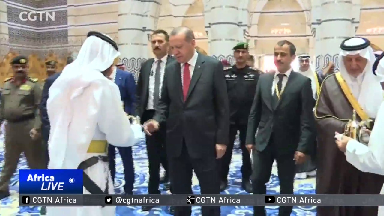 Qatar Diplomatic Row: Turkish president tries to bring crisis to an end