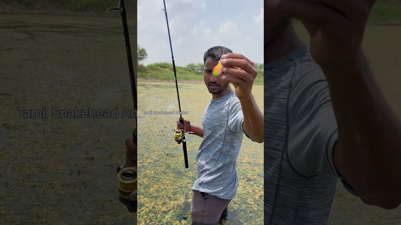 Dushman Frog (small) #snakeheadhunting #amazingfishing