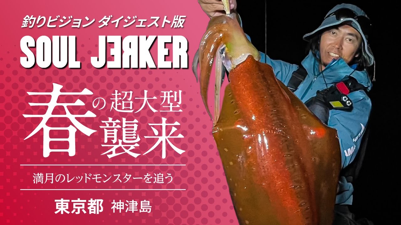 SOUL JERKER 22 東京都神津島～大型アオリイカ レッドモンスターを狙い撃つ～