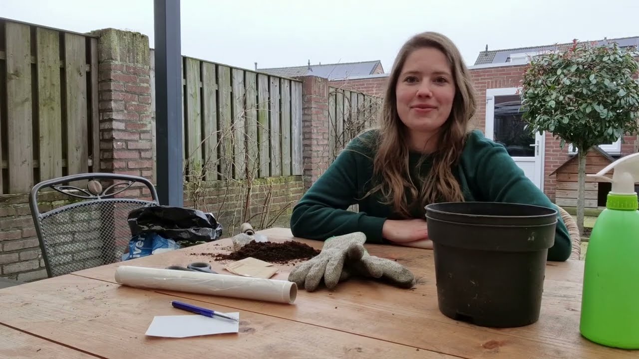 Paprika's en pepers zaaien