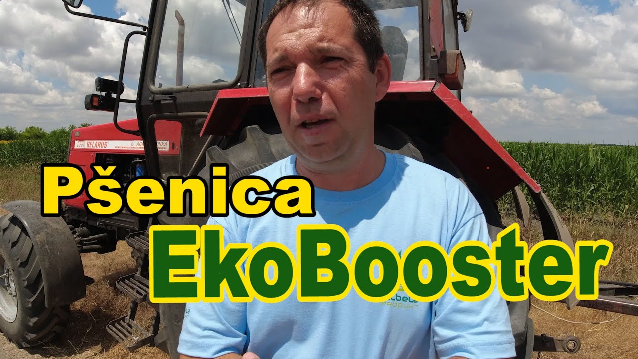 Ogled sa EkoBooster na psenici , Saša Đukić - Žitište 2021