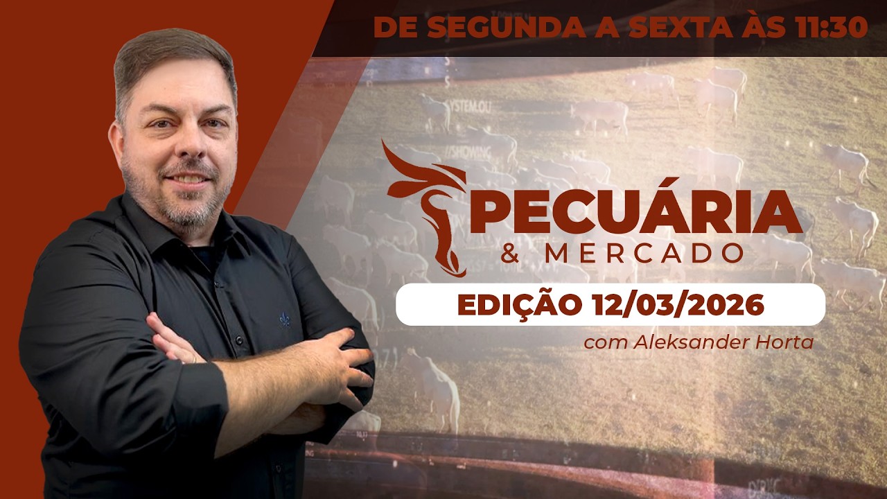 Arroba do boi volta a reagir na B3; no mercado físico o cenário de pressão está diminuindo e...